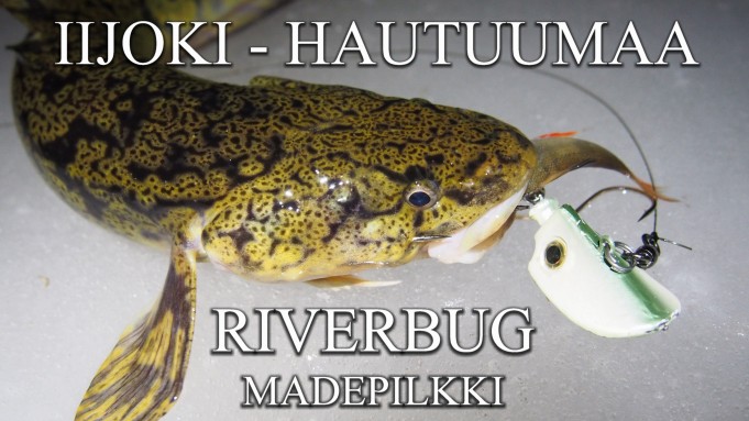 Iijoki Made RiverBug madepilkillä. #madepilkki #riverbug