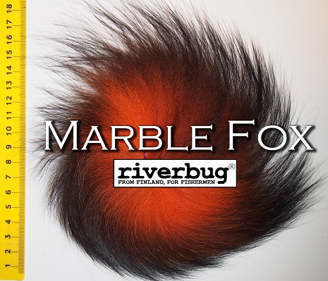 marble fox_riverbug1.jpg