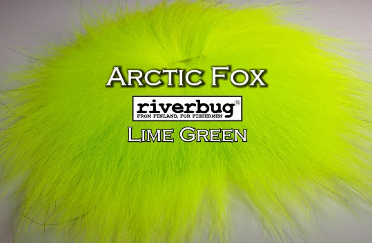arctic_fox_limegreen1.jpg