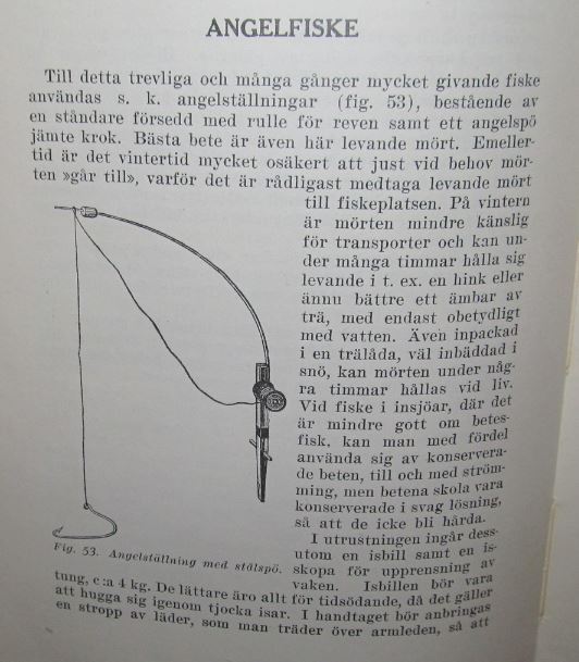 angelfiske----Carl. Edw. Leidersdoff kirjassa. Fiske. v. 1921....1...........JPG