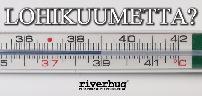 #riverbug<br />#lohikuume<br />#putkiperhot