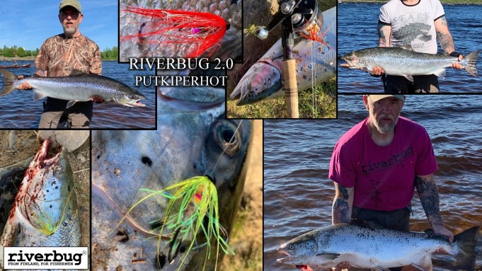 RiverBug saalisklubi 2019 - Tornionjoki