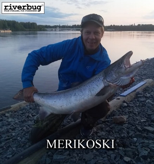 Merikoski Oulu RiverBug Putkiperhot