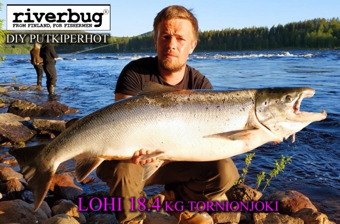 Kattilakoski ja Lohi 18.4 kg RiverBug :iin sidotulla putkiperholla!