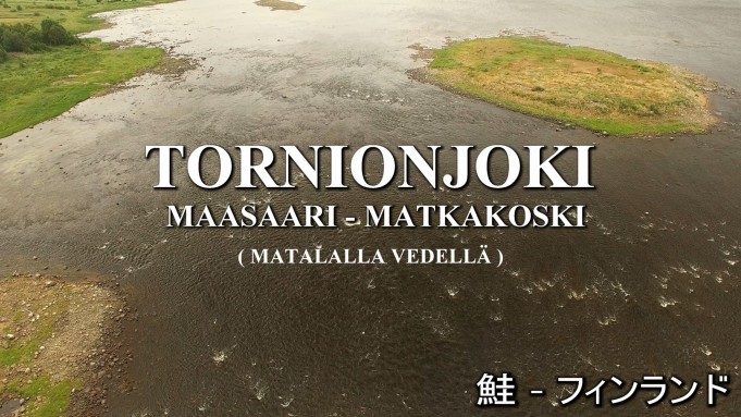 Tornionjoki - Maasaari matalalla vedellä.<br />#tornionjoki