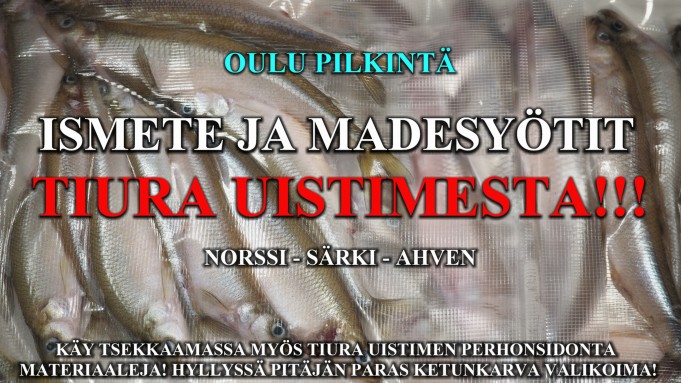 Oulussa Ismete Täky Tiurasta! #tiurauistin #ismete #täkykalat