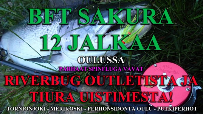 BFT Sakura 12 jalkaa - Oulun Kalastusvälineet - Spinfluga vapa. #oulu #punttivapa #bft #sakura &quot;12jalkaa #tornionjoki #merikoski #tiurauistin #riverbugoutlet #vapakauppa