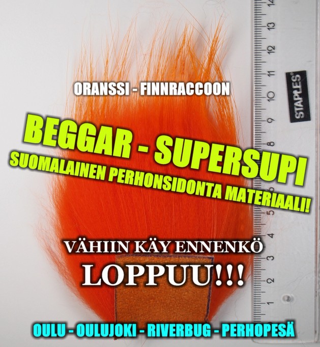 SuperSupi by Beggar in the perhopesä.