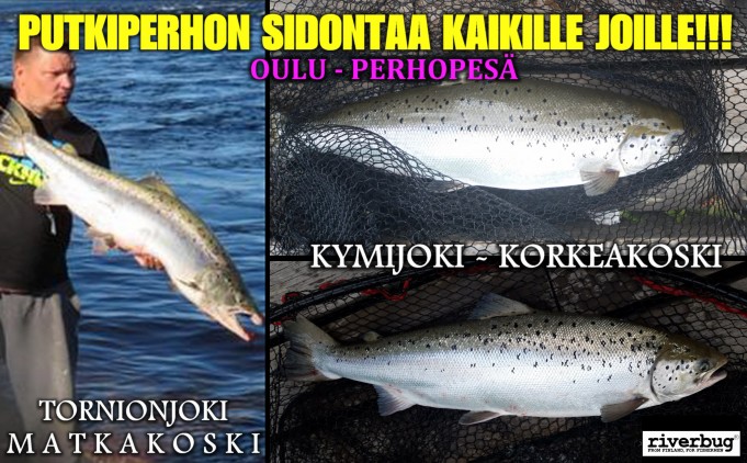 Tornionjoki ja Kymijoki perhotarvikkeet Oulusta! #putkiperhot