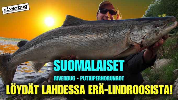 Erä-Lindroos perhonsidonta - RiverBug Putkiperhot. #riverbug