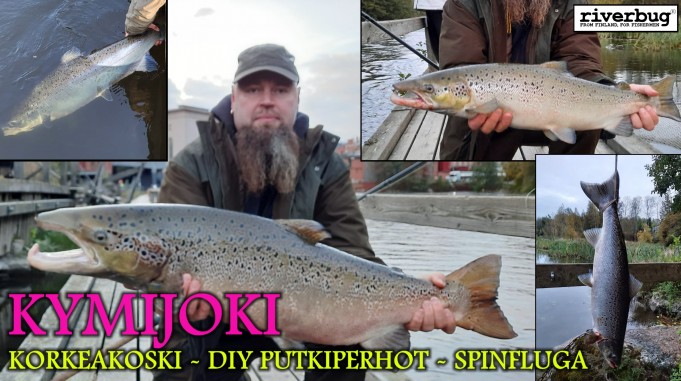 Korkeakoski - Kymijoki - Spinfluga Lohia bugiperhoilla. #putkiperhot<br />#riverbug<br />#korkeakoski<br />#kymijoki