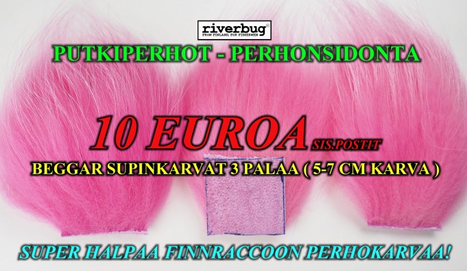 Beggar Supinkarva / Finnraccoon - Pinkki. #finnraccoon #pinkki #perhonsidonta #riverbug
